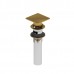 Riobel - Components - Lavatory Push Drain with Overflow - Square - Brushed Gold