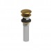 Riobel - Components - Lavatory Push Drain with Overflow - Rounded - Brushed Gold